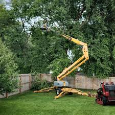 Reliable Adamstown, MD Tree Care Solutions