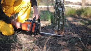 Pest Control for Lawns in Adamstown, MD